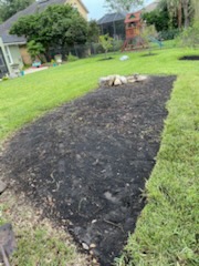 Before sod installation