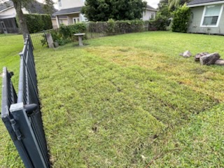 After sod installation